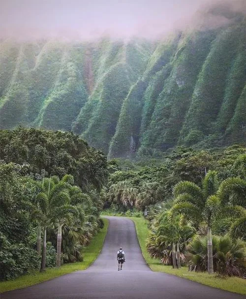 风景人生感悟精辟_1