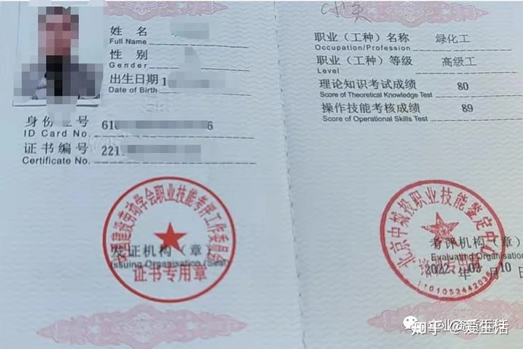 绿化工证书成绩查询_1