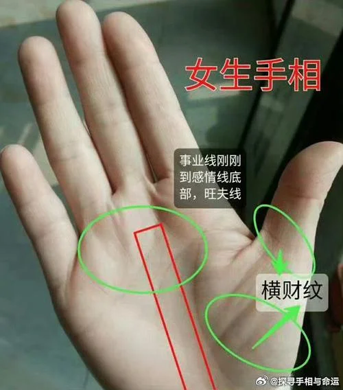 做梦别人给自己看手相_1