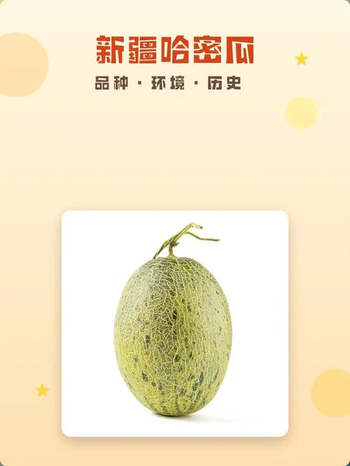 梦见哈密瓜是什么预兆-梦见哈密瓜预示吉凶