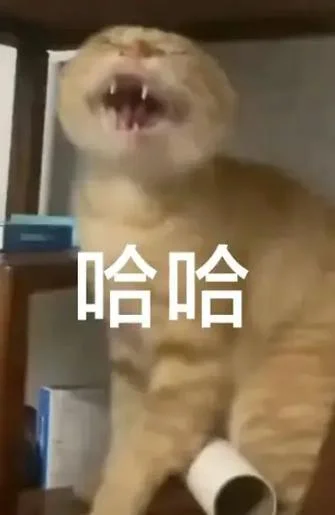 微信猫男表情出处_1