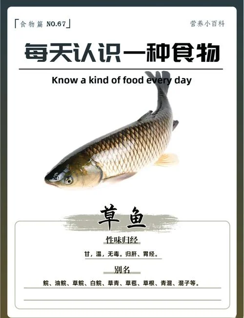 梦见抓到草鱼什么意思_1