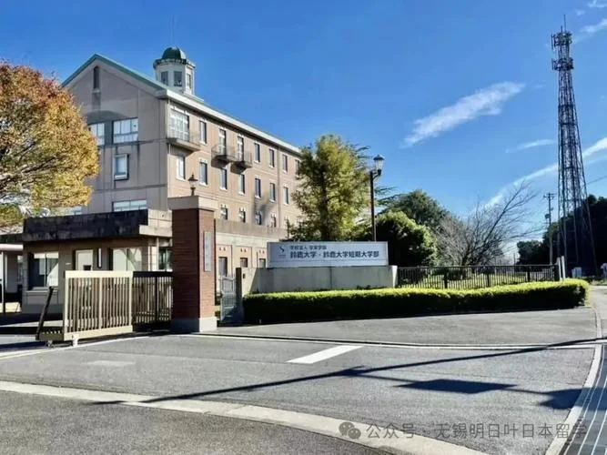 日本学前教育留学怎样_1