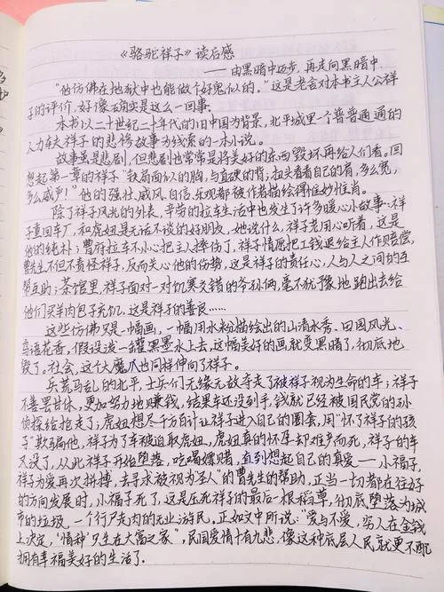 骆驼祥子第一章读后感悟50字_1