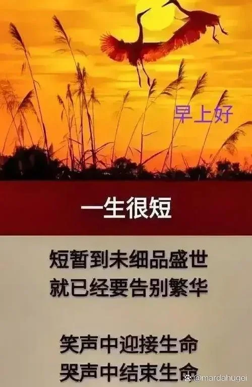 一天一年一生的感悟_1