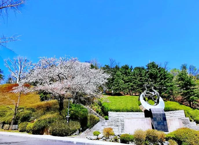 2015韩国大学_1