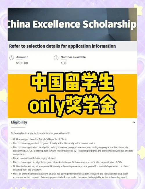 留学生奖学金标准_1