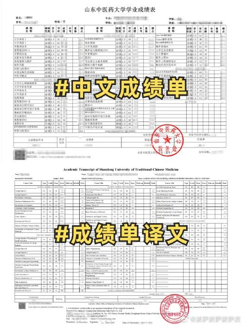 申请留学的成绩单吗-成绩单申请留学