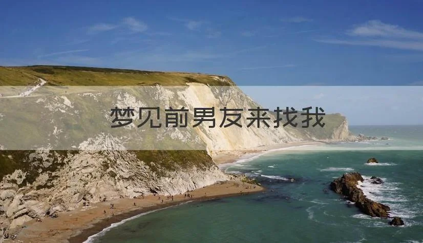 梦见和前男友出去玩_1
