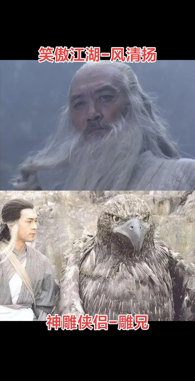 神雕侠侣作者是谁_1