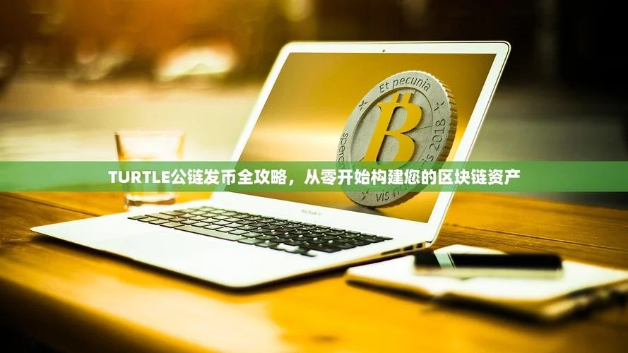 区块链项目发行代币_2
