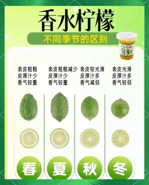 柠檬几月结果_1