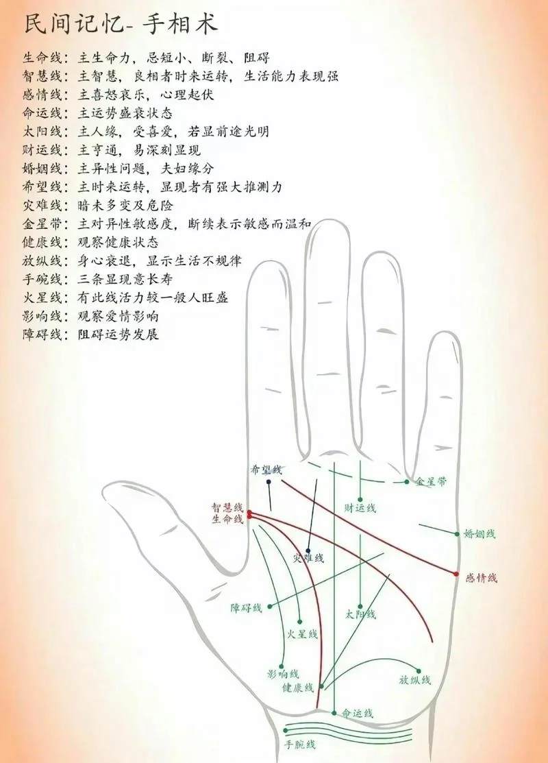 西方人看手相吗_1