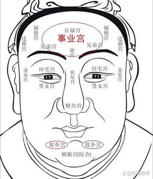八字和面相哪个更重要-八字与面相孰重