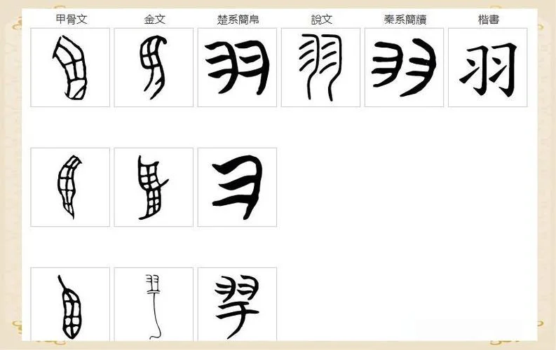 羽字旁的字叫什么_2