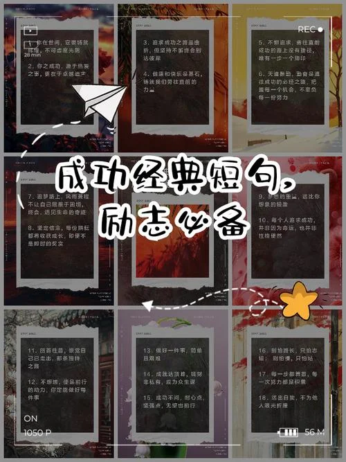 感悟成功励志的句子_1