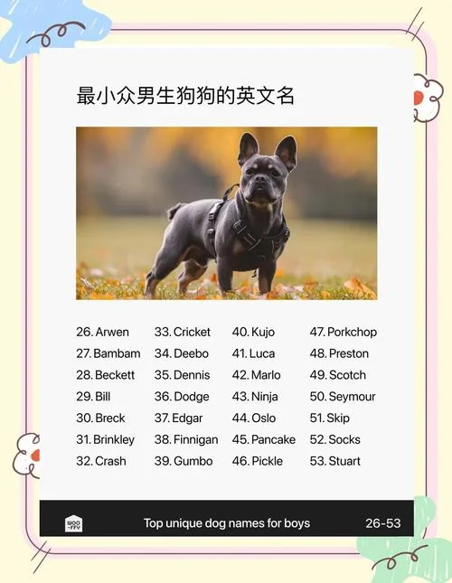 狗年宝宝起名禁忌小名-狗年宝宝起名禁忌小名