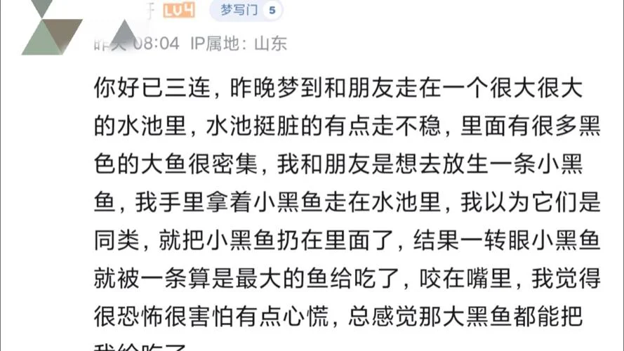 梦见了一条大鱼_2