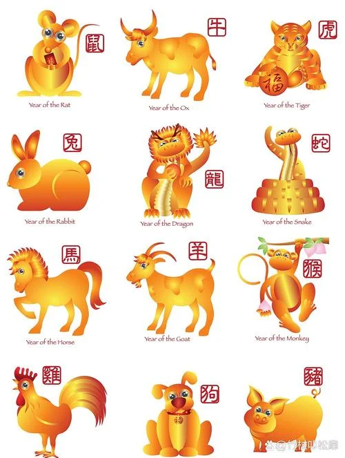 属牛2020年运势属鼠-属鼠 2020 年运势