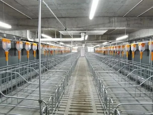 养猪场投资什么公司_1