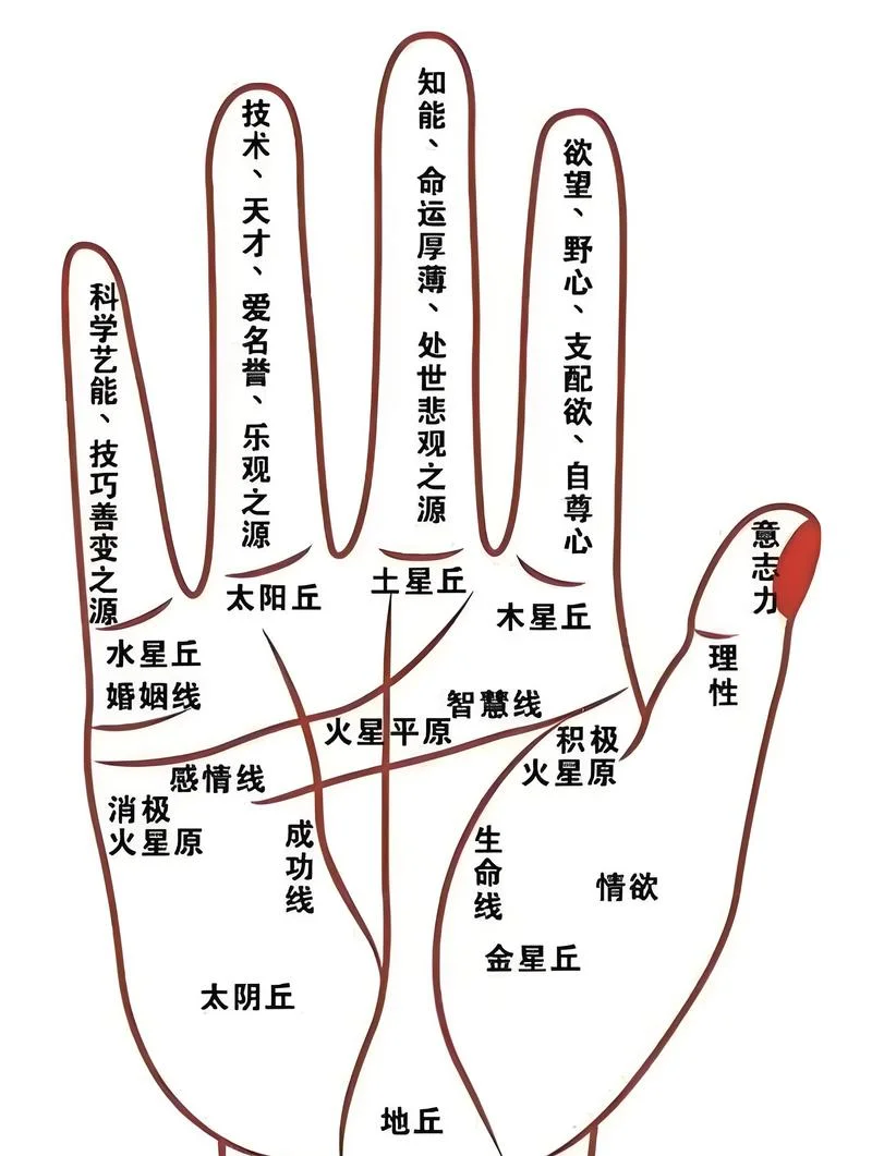 女生短命手相_2