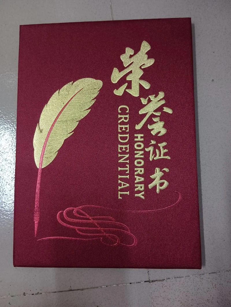 荣誉证书怎么写的_1