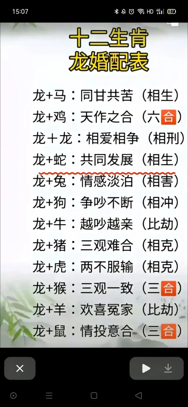 88年龙最佳婚配属相_2
