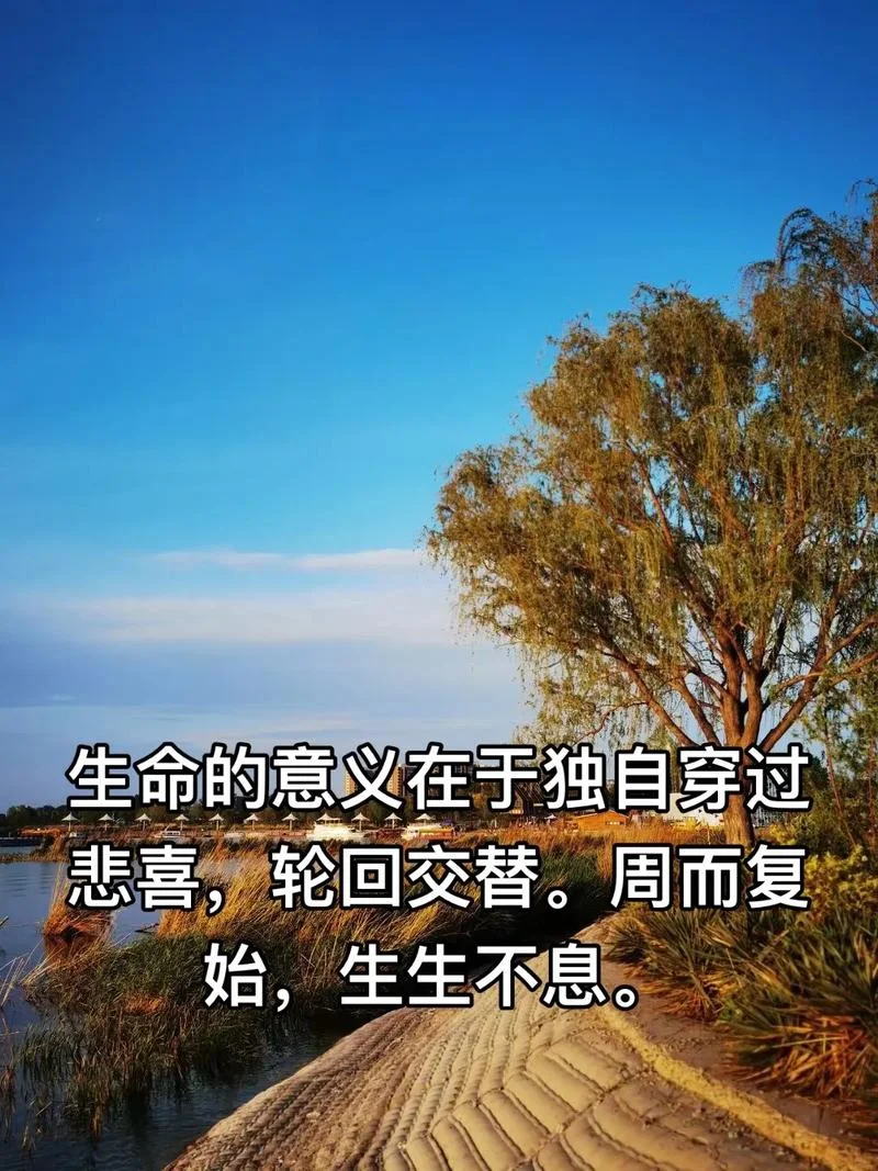感悟生命的顽强与脆弱_1