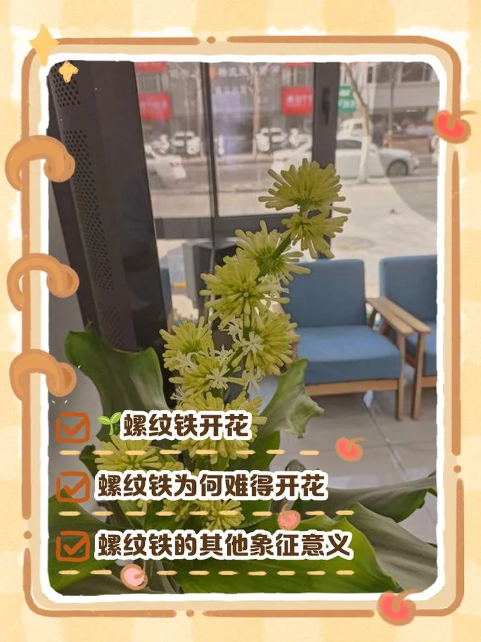 梦见家里花开什么预兆-梦见家花盛开预兆