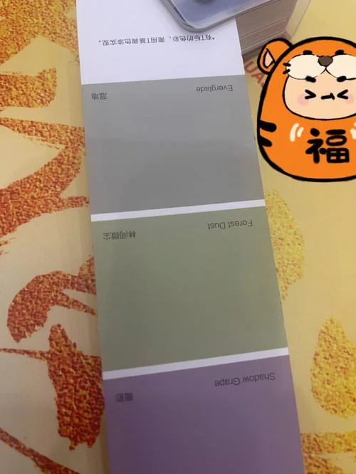 色库漆多少钱一平方_1