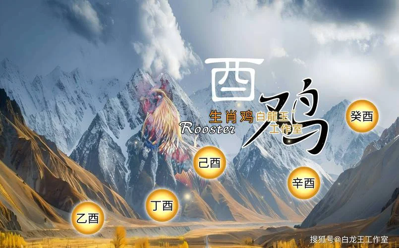 属鸡白羊座明天运势_2