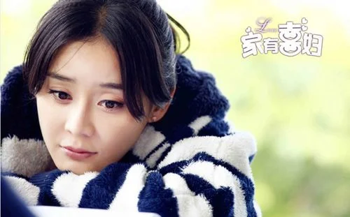 家有喜妇电视剧情全集_2