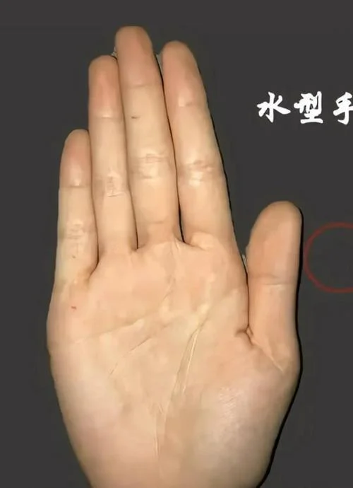 李居明说手相_2