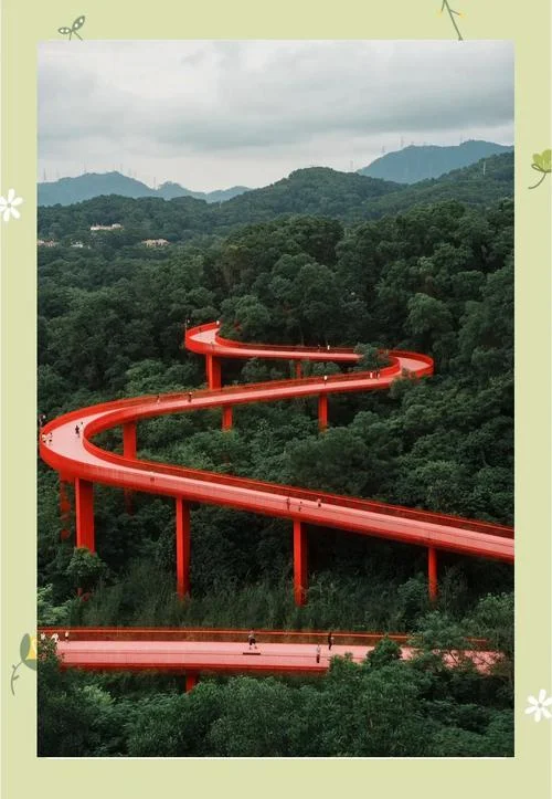 深圳春节免费景点推荐_1