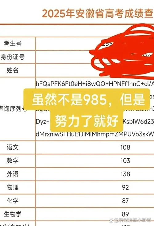 高考录取结果出炉-高考录取结果公布