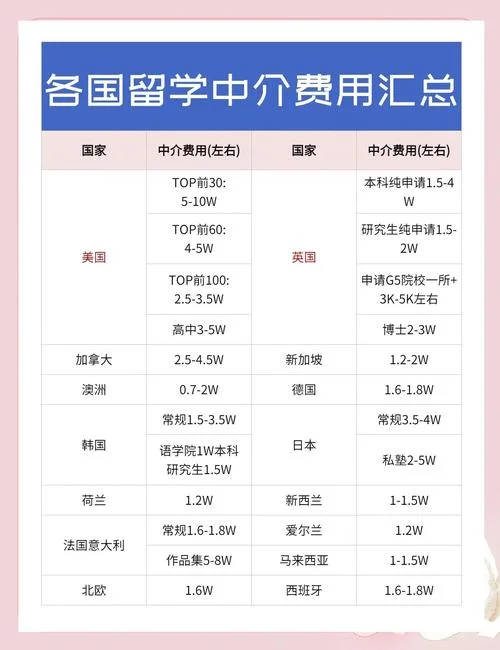 留学中介费用怎么解决_2