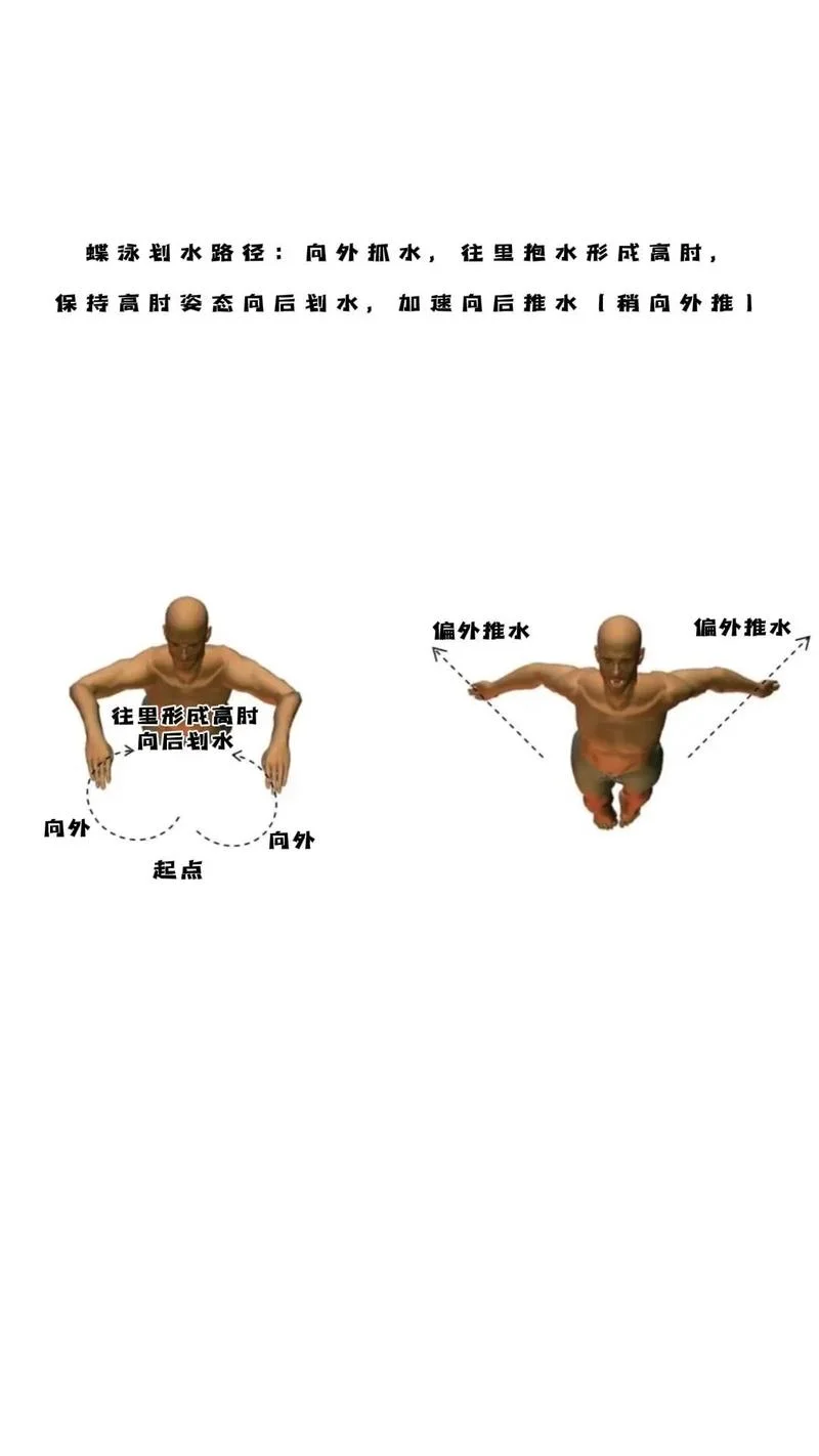 初学游泳怎么学最快_1