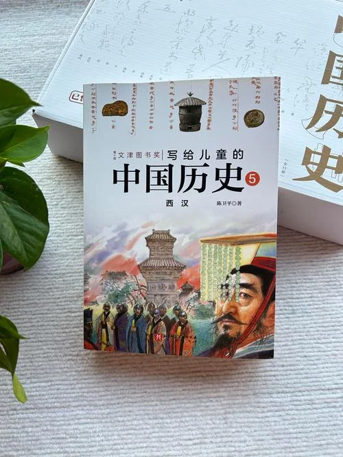 讲中国历史 书-中国历史书籍