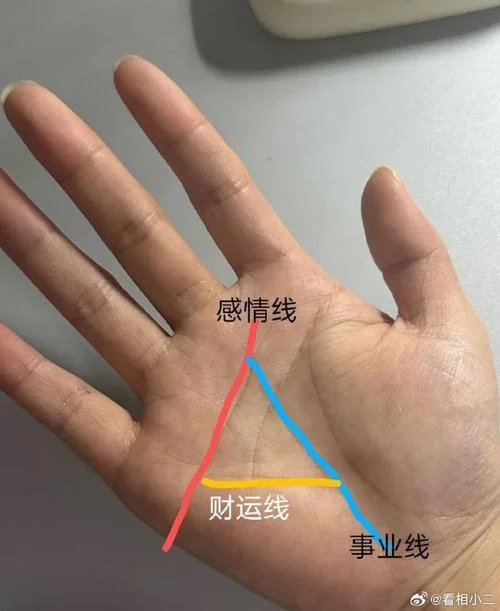 钱财纹手相图_2
