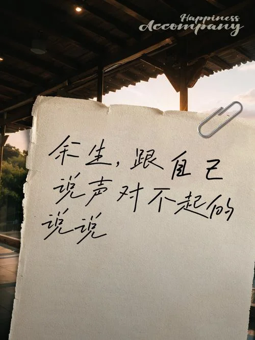 说声:对不起的作者是谁_1