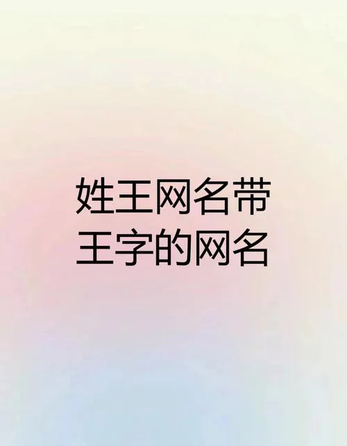 给孩子起名王_1