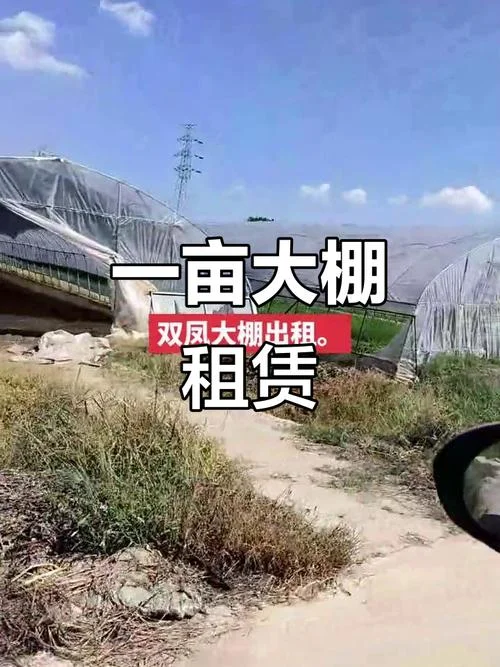 大棚租赁多少钱一亩_1