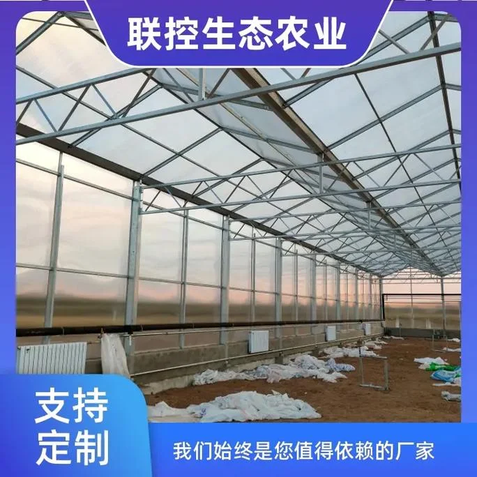大棚温室多少钱一亩_2