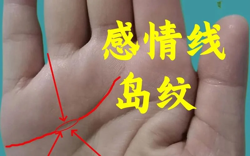 手相有岛纹_2