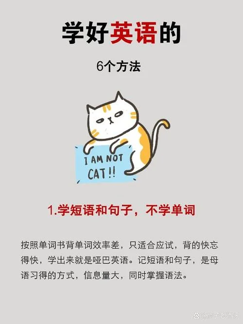 到底要怎么学英语-如何高效学英语