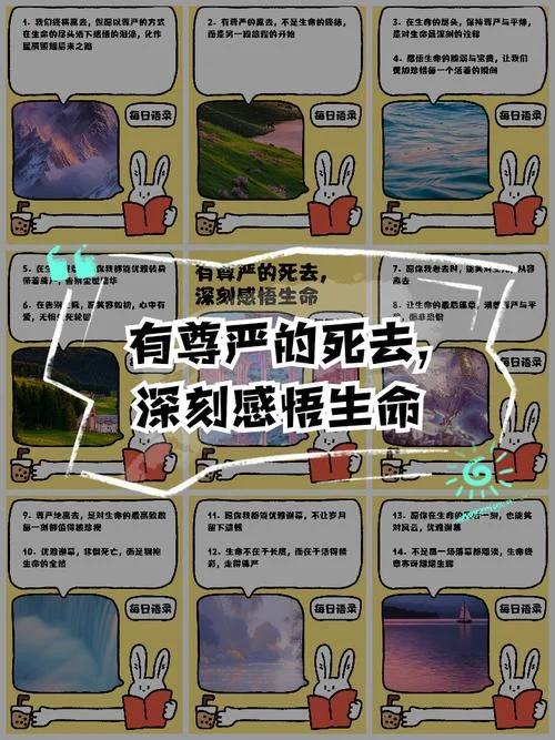 生命的尊严感悟-生命尊严感悟