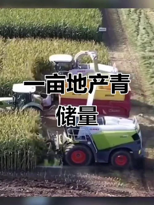 一亩玉米秸秆有多少斤_1