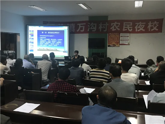 青神县西龙中学全称_2