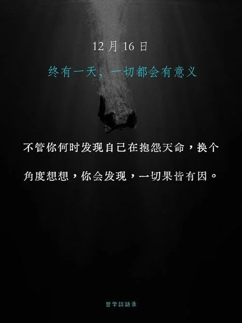 从一而终下一句是什么_1