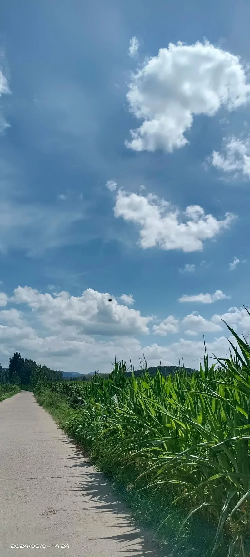 远离城市的喧嚣下一句_1